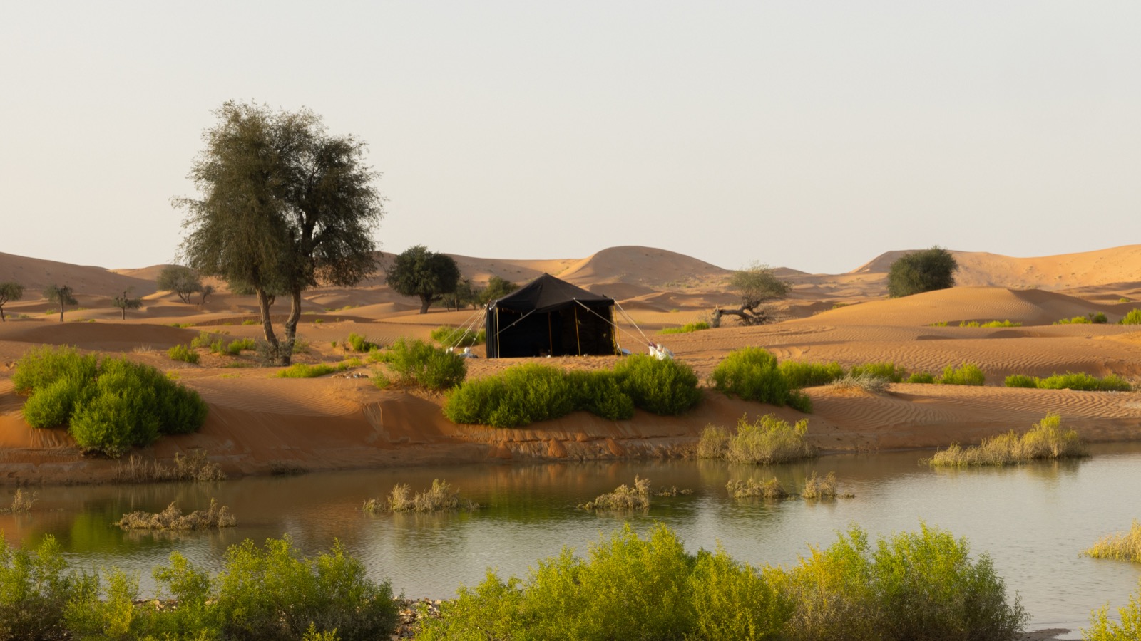 The Land Behind the Lens